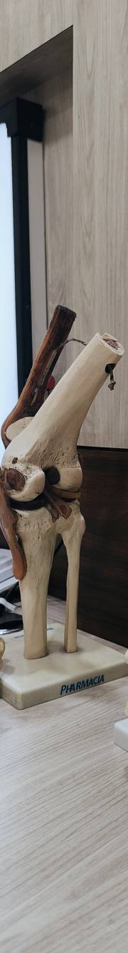 Gallery K S Orthopaedic Foundation